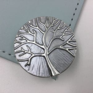 Magnetic brooches