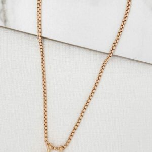 Envy 3534 Short Necklace with Pendant in Gold & Silver