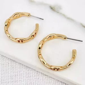 Envy 3586 Hoop Earrings in Gold & Silver