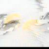 Envy 4122 Curl Earrings in Cream & Black