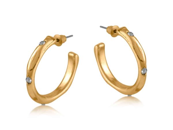 Pamela 3257 Organic Shape Hoop Earrings - Gold & Silver