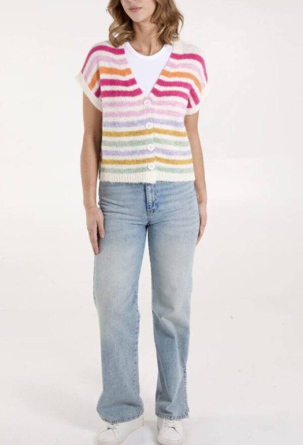 Rose Stripe Waistcoat Vest - Image 2