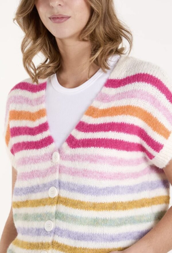 Rose Stripe Waistcoat Vest - Image 3