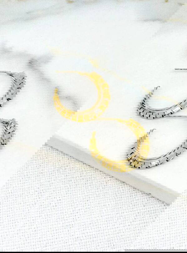 Envy 4358 Hoop Earrings in Gold & Silver