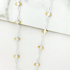 Envy 4303 Long Necklace with Ball Detail in Two Tone