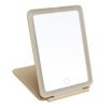 Alice Wheeler Stone LED Light Up Soft Touch Travel Mirror (3 Light Settings)
