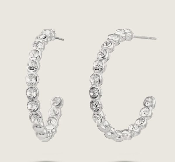 1194 White Gold Plated Stainless Steel Post Earrings