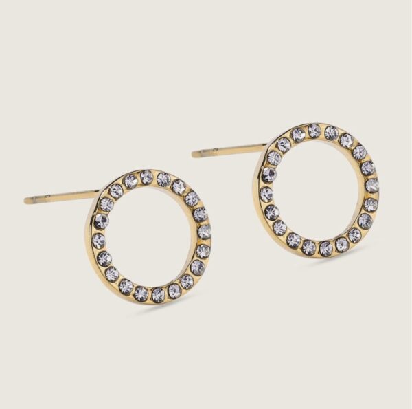 1232 Gold Plated Stainless Steel Earrings - Image 2