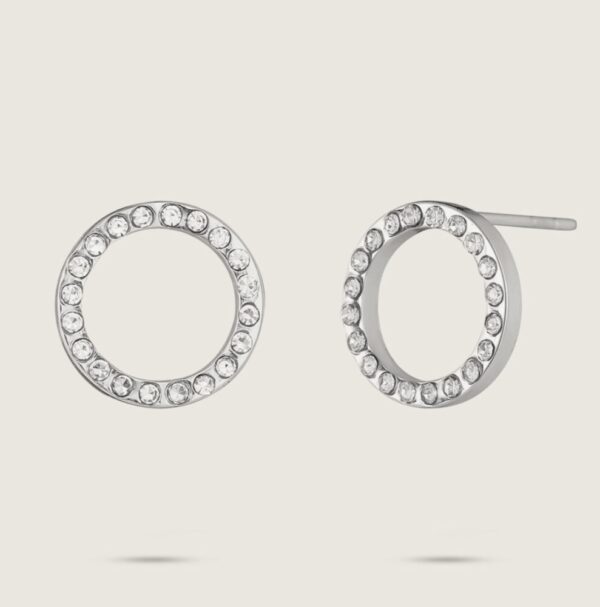 1232 Gold Plated Stainless Steel Earrings - Image 4