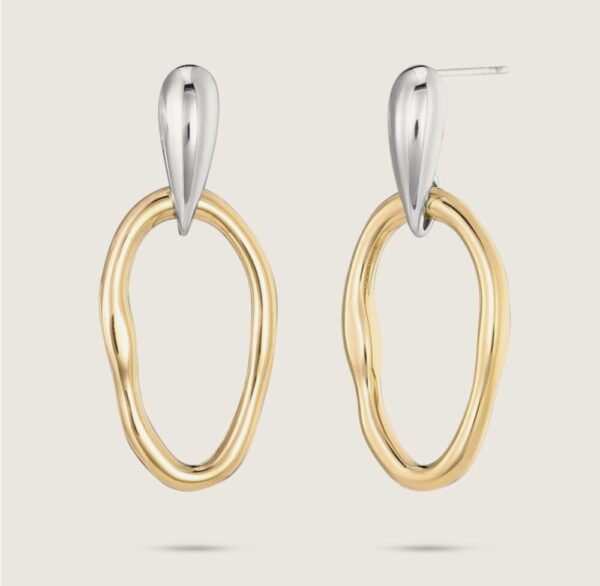 1258 Two tone earrings
