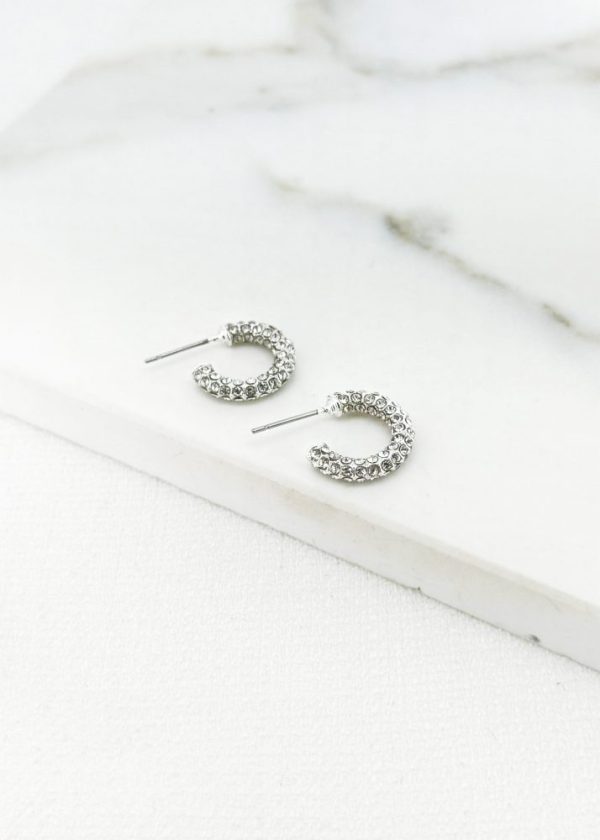 Envy 4433 Diamante Encrusted Earrings in Gold or Silver