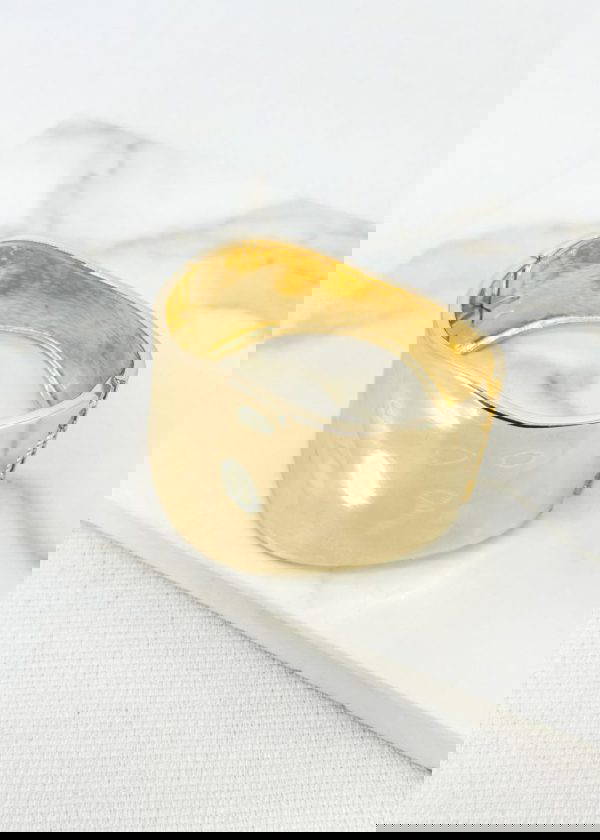 Envy 4569 Hinged Bangle in Gold or Silver