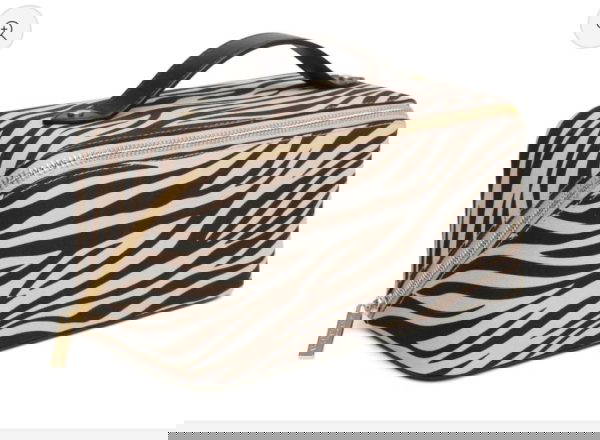 Alice Wheeler Zebra Train Case