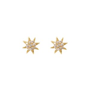 1007 Single Star Stud Earrings in Gold & Silver