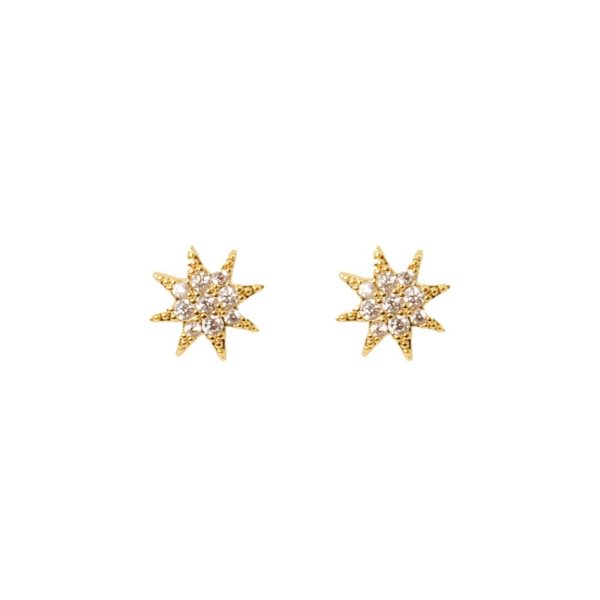 1007 Single Star Stud Earrings in Gold & Silver