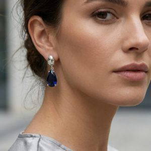 Envy 4854 Silver Drop Earrings